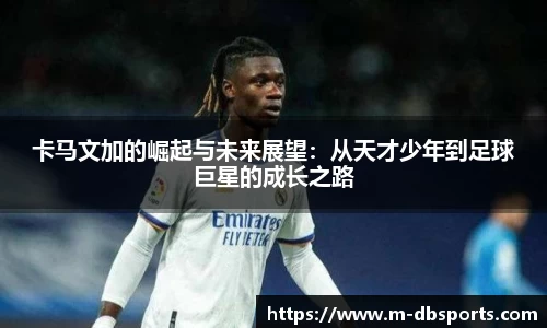 多宝体育